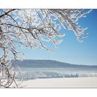 Blick zurück auf den Winter