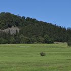 Blick zurück auf die Felskuppe der Milseburg (2019_06_29_EOS 6D Mark II_4511_ji