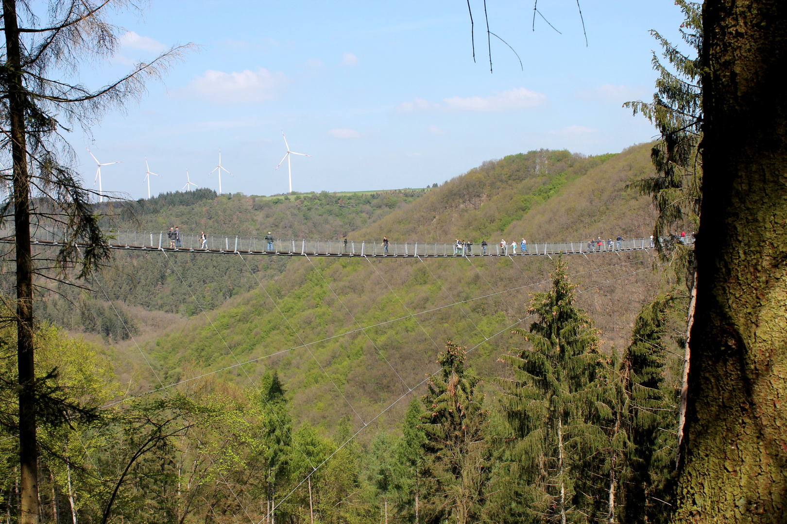 Blick zurück auf die Geierlay Hängebrücke