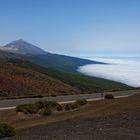 Blick zurück auf Pico del Teide