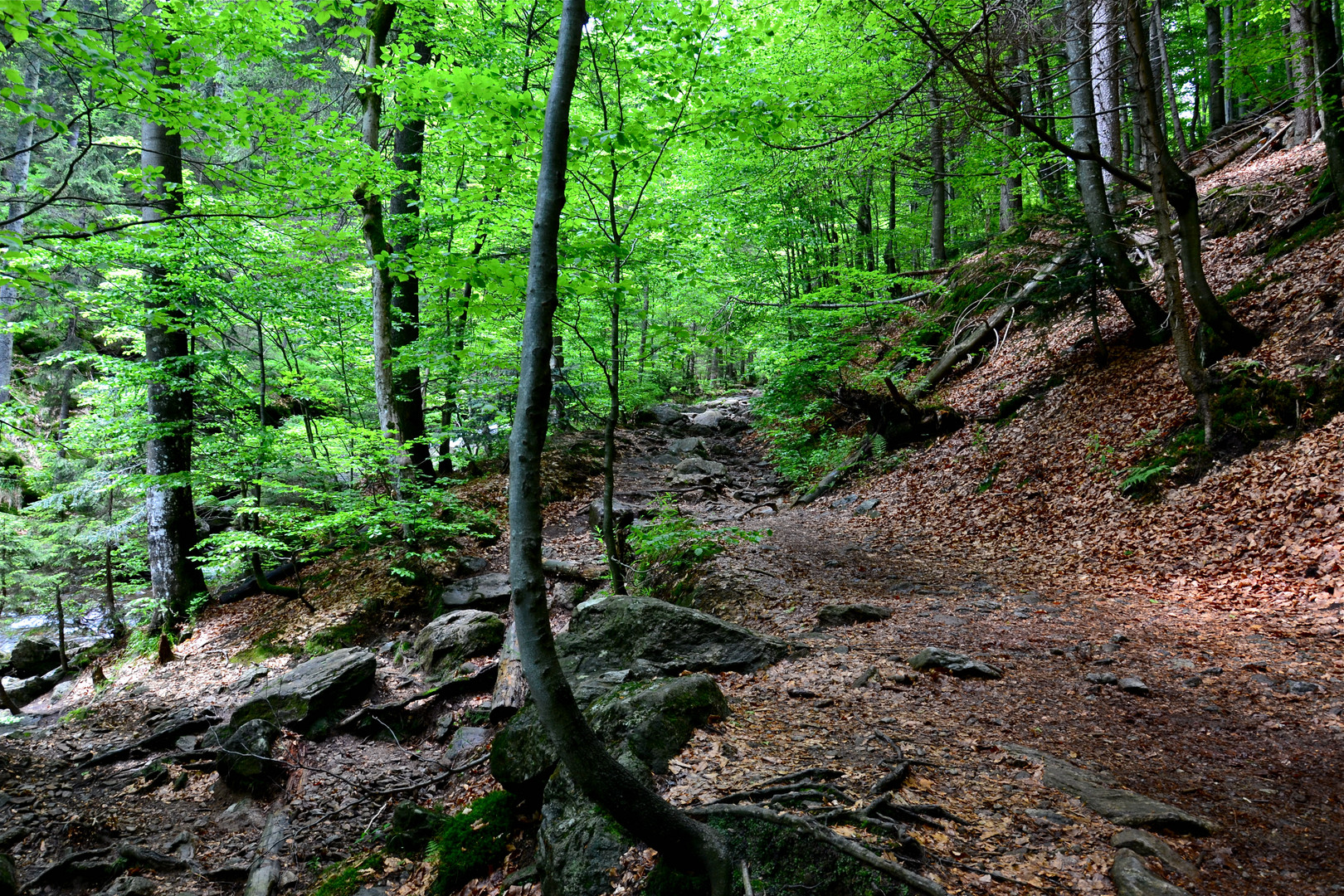 Blick zurück auf steinigem Weg…