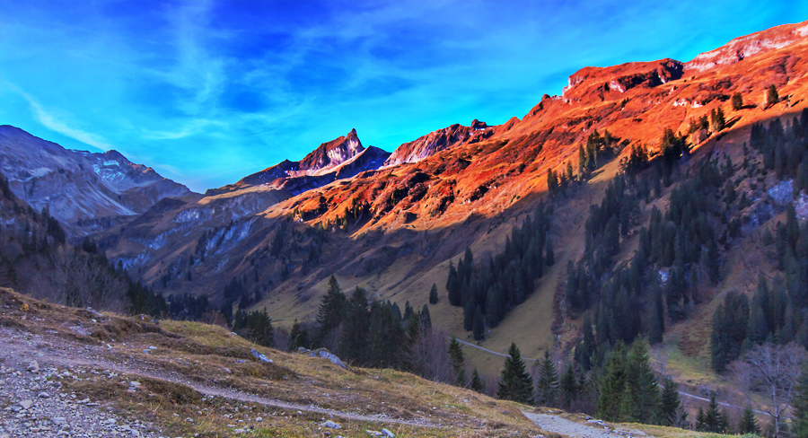 Blick zurück (Bärgündlealp)