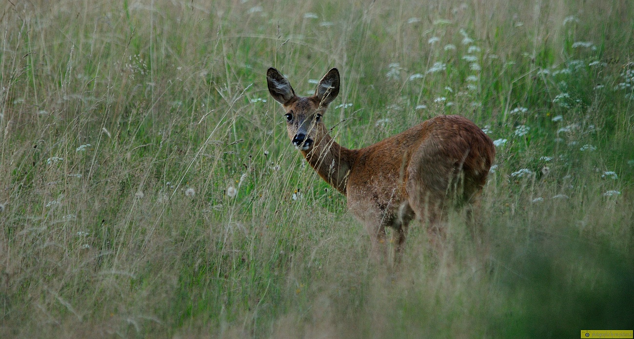 Blick zurück