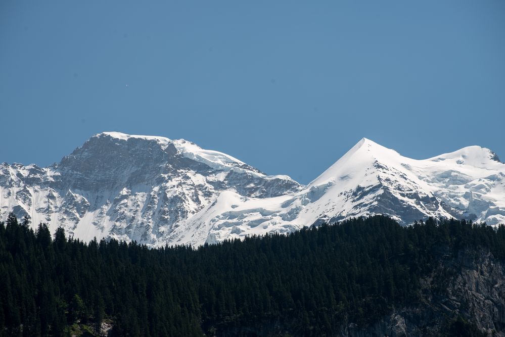 Blick zurück