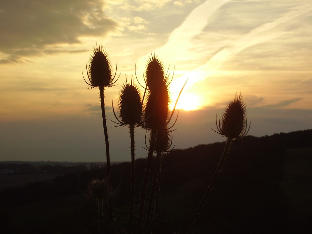 Blick zurücK