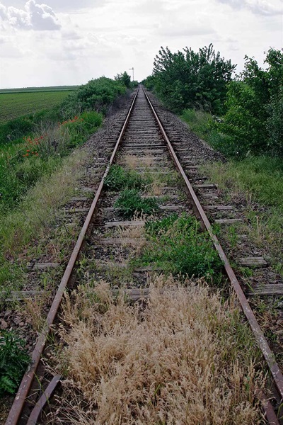 Blick zurück