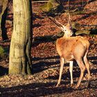 Blick zurück !