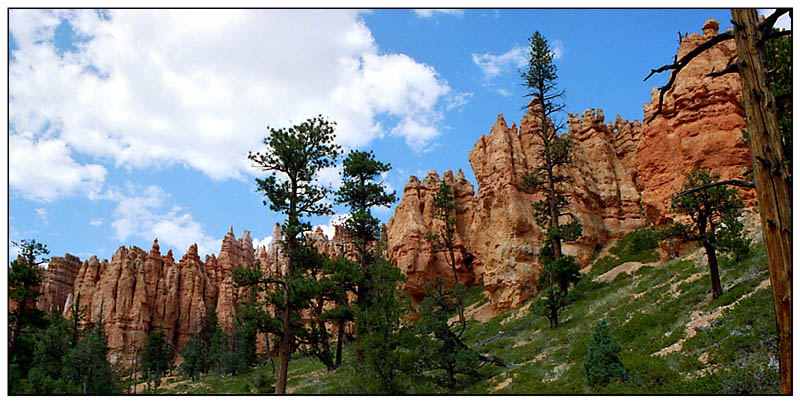 Blick zurück im Bryce Canyon - Utah, USA