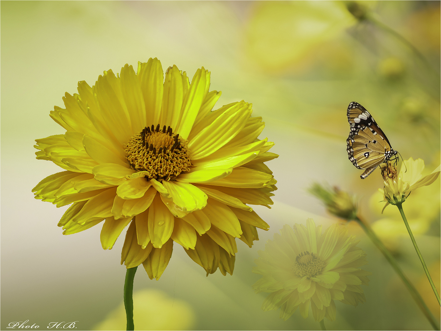 Blick zurück in den Sommergarten