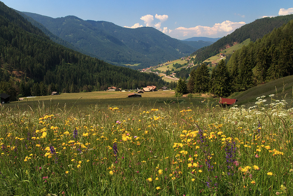 Blick zurück nach Tiers