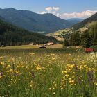 Blick zurück nach Tiers