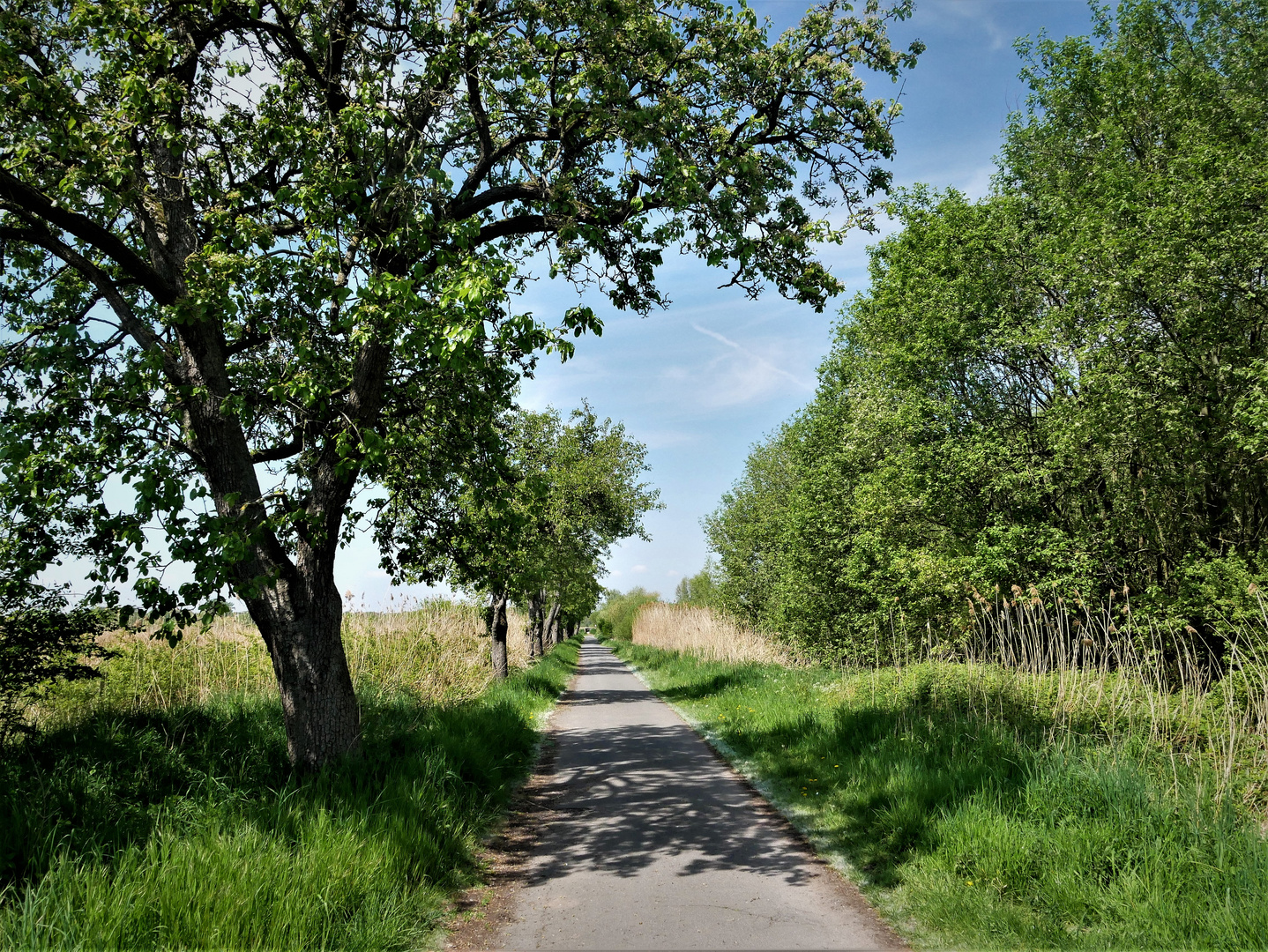 Blick zurück - Radtour im Frühjahr in den Rieselfeldern