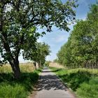 Blick zurück - Radtour im Frühjahr in den Rieselfeldern