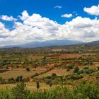 Blick zurück Richtung NgoroNgoro-Krater