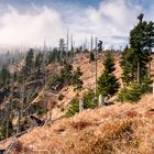 Blick zurück und nach vorn