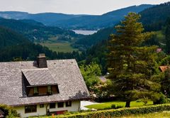 Blick zurück zum Titisee