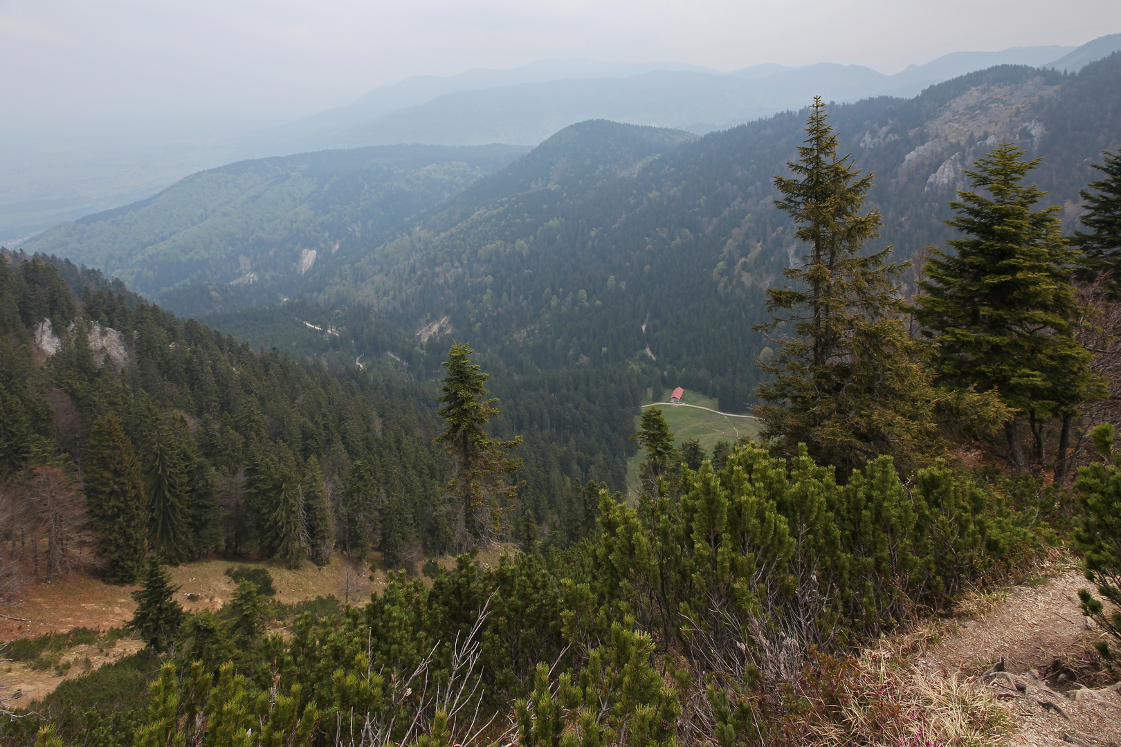 Blick zurück zur Alm (0335_ji)