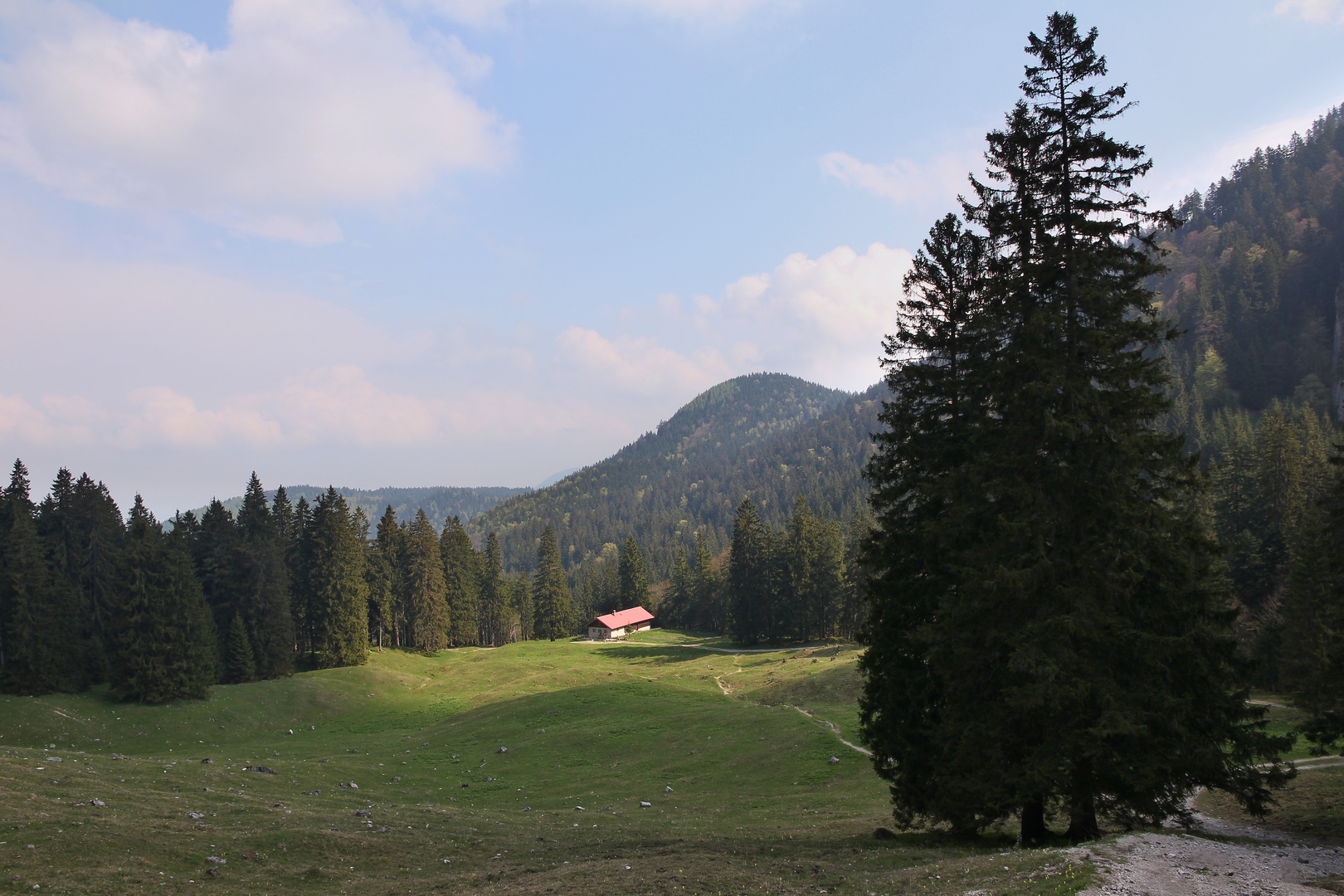 Blick zurück zur Orterer Alm (0311_ji)