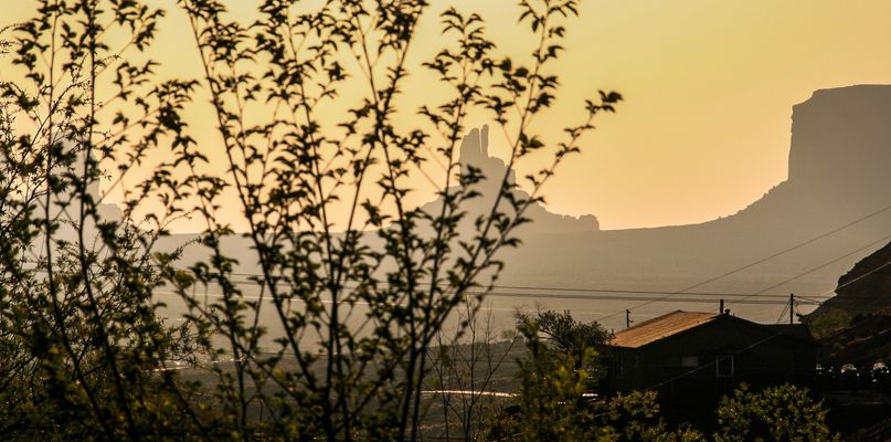 Blick Zweige Berge sunrise USA_canon-4404-col +usafotos