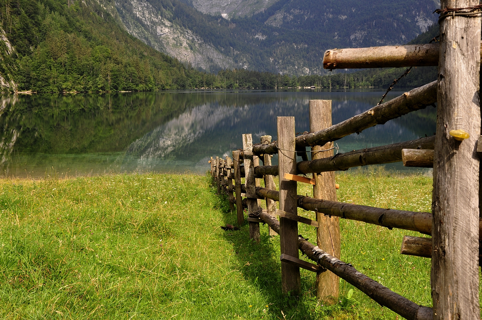 Blickauf den Königssee