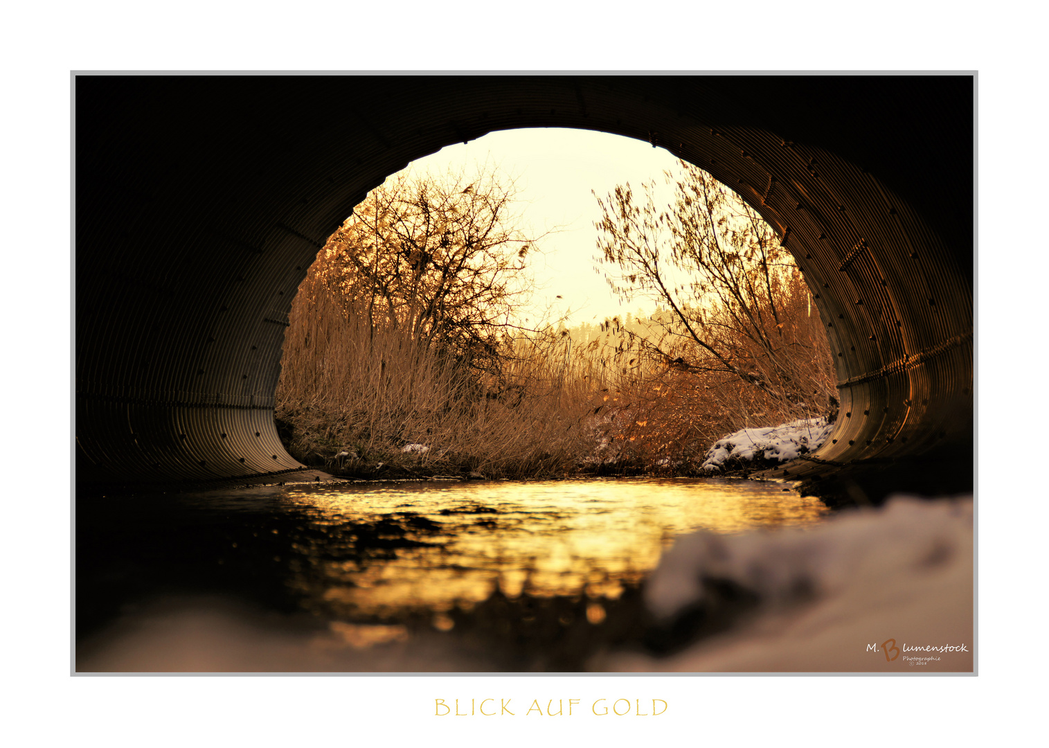 Blick_auf_Gold