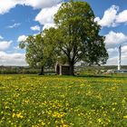 Blicke auf Rottweil