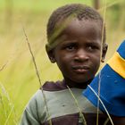 Blicke aus Afrika: Swaziland Nr.5