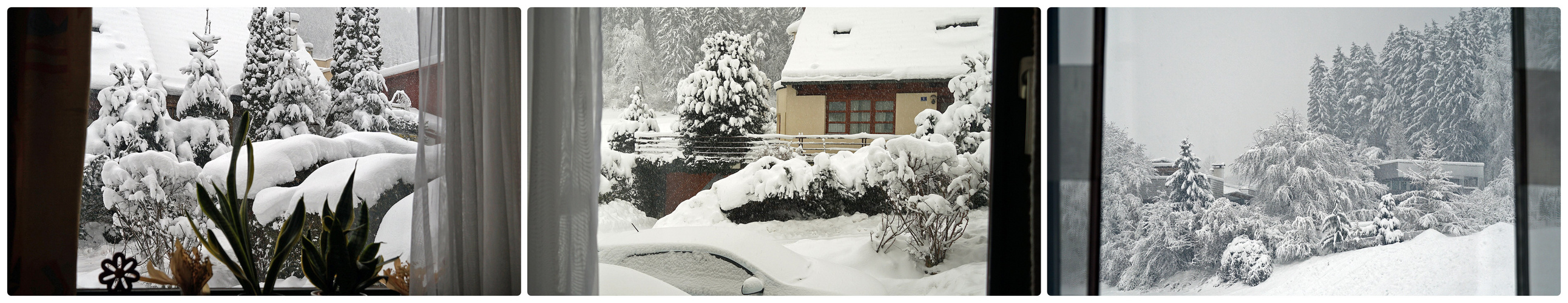 Blicke aus dem Fenster