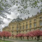 Blicke aus dem Hofgarten der Residenz (6)