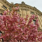 Blicke aus dem Hofgarten der Residenz (7)