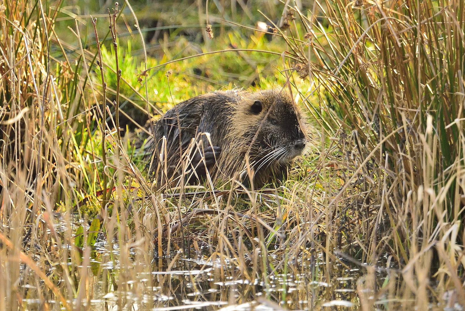 Blicke aus dem "Versteck"!