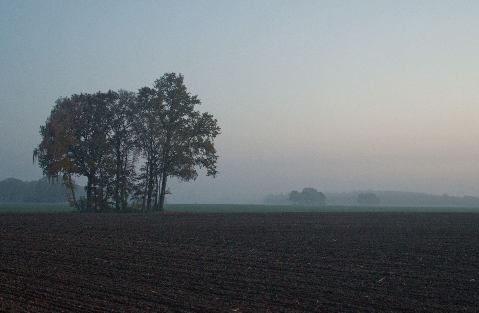 Blicke über´s Feld, Abendstimmung im November