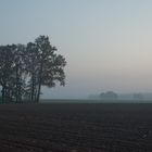 Blicke über´s Feld, Abendstimmung im November