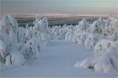 Blicke übers Fjäll