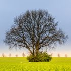 Blickfang beim Radfahren