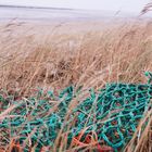 BlickFANG durch Strandgut