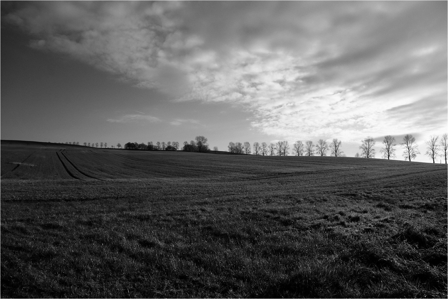 (Blick)Feld