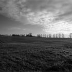 (Blick)Feld