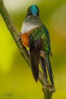 °°_Blickkontakt_°°