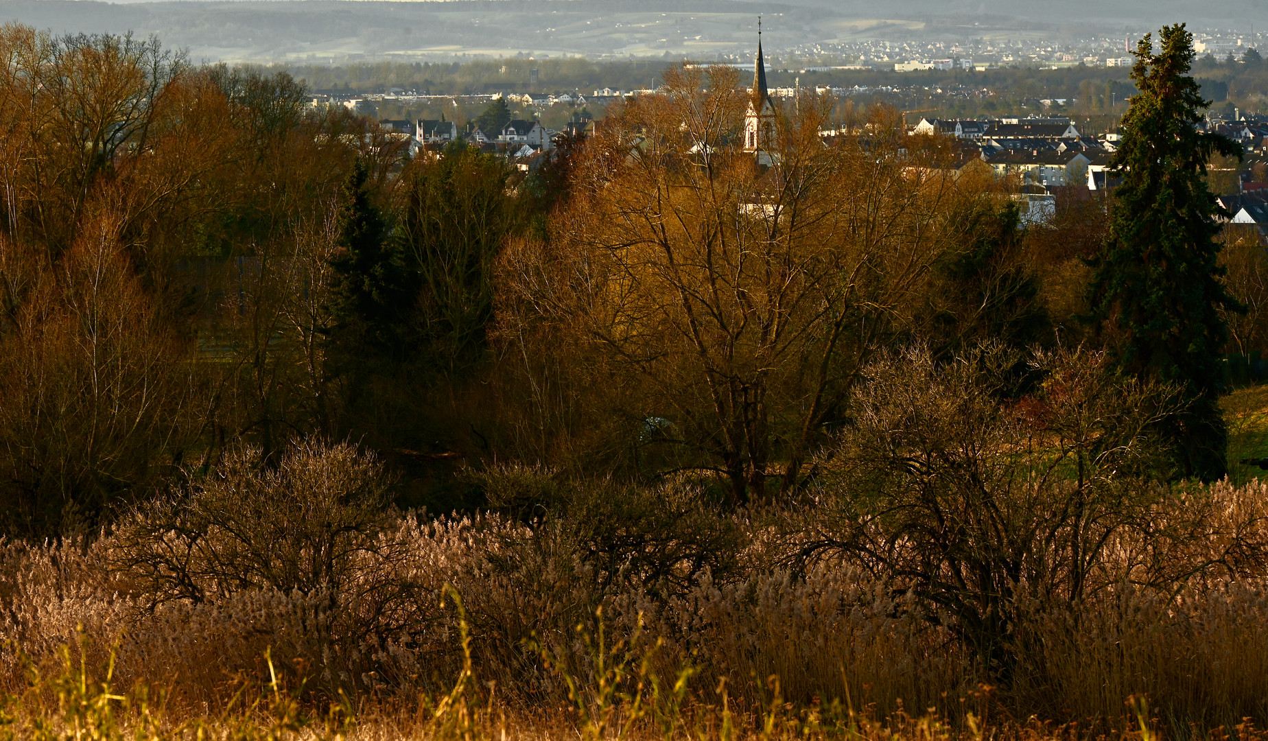 Blickrichtung