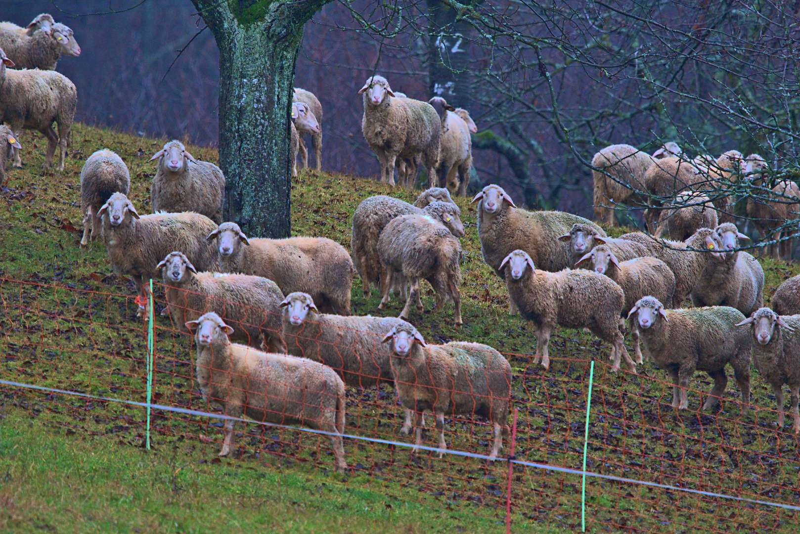 Blickrichtung