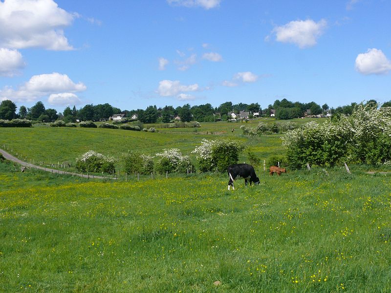 Blickrichtung Görgesstrasse