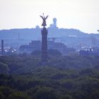 Blickrichtung Grunewald