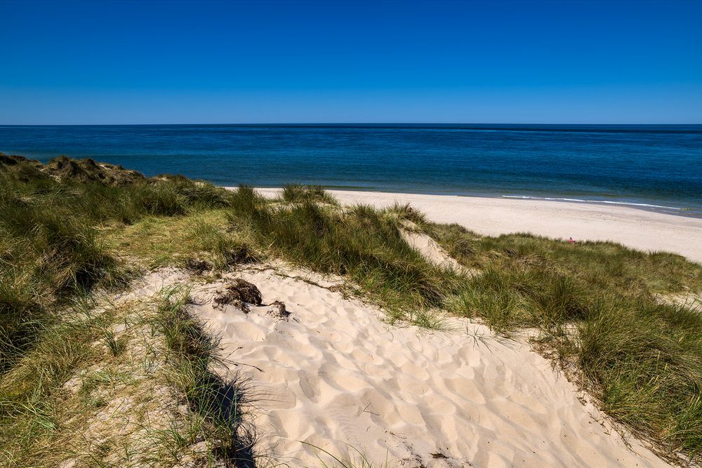 Blickrichtung Nordwest vom Ellenbogen, Sylt