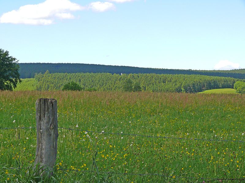 Blickrichtung: Richelsley