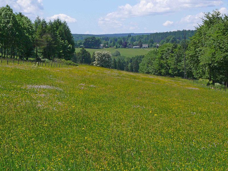 Blickrichtung: Ruizhof