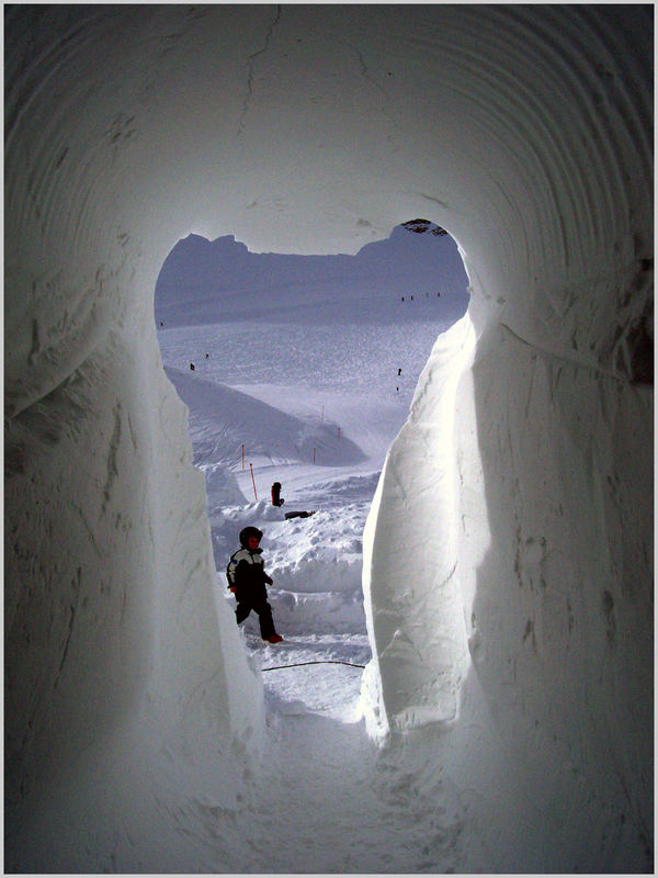 blickwinkel des eisbären