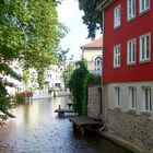 Blickwinkel Erfurt