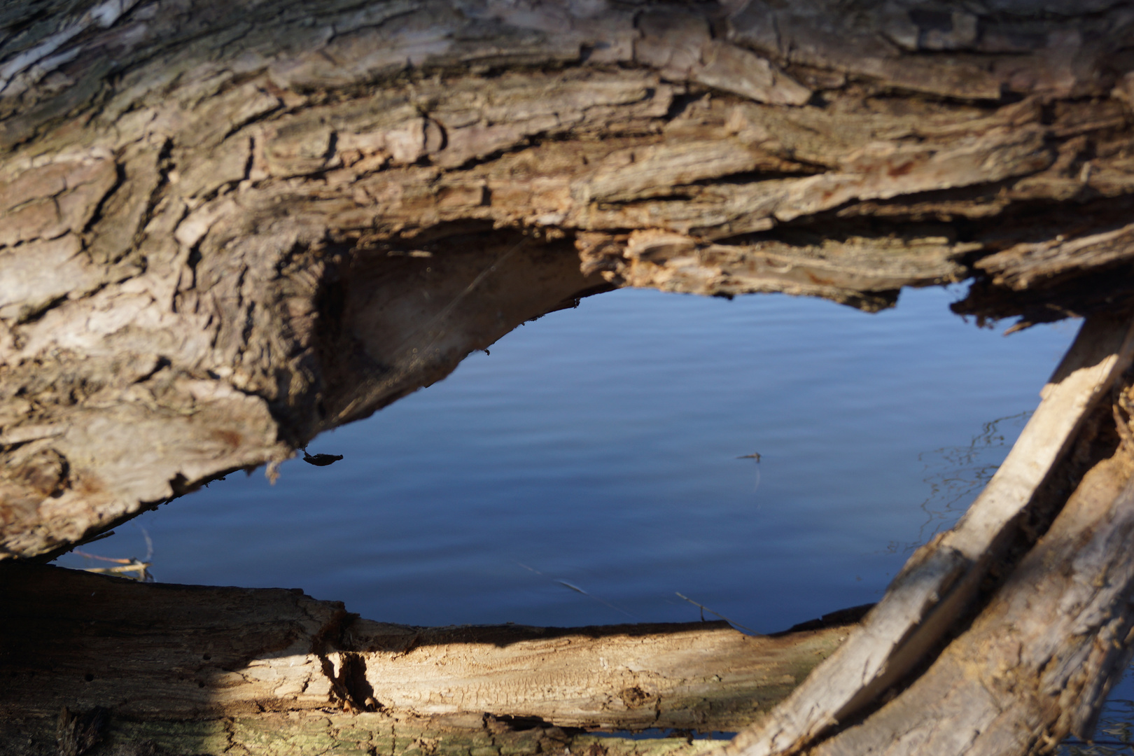 Blickwinkel in der Natur