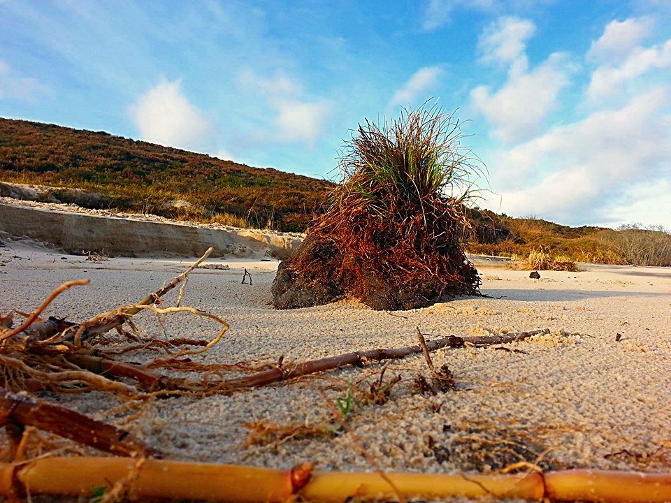 Blidselbucht Strand zwischen List und Kampen